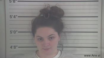 Brittany Nicole Woodel Mugshot