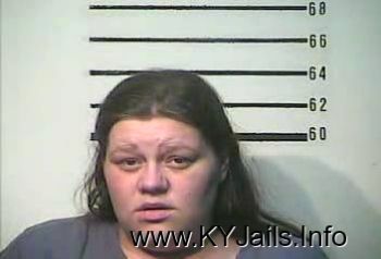 Brandi L Baird   Mugshot