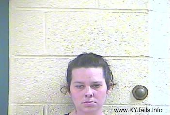 Brandi Michelle Burlingame   Mugshot