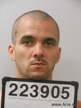 Brandon Ray Nelson Mugshot