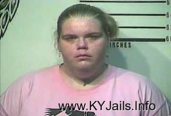 Brandy Carol Phelps   Mugshot