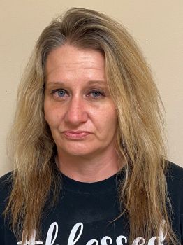 Brandy  Franklin Mugshot