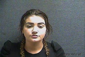 Brie Ann Domers Mugshot