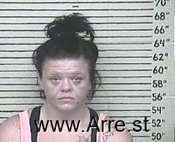 Brittany  Gibson Mugshot