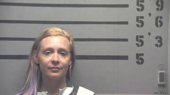 Brittany  Price Mugshot