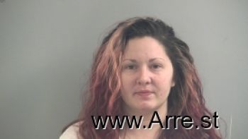 Brittnee L Martin Meredith Mugshot