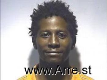 Bryan  Johnson Mugshot