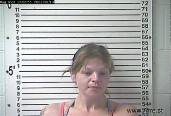 Carly Elizabeth Hanley Mugshot