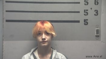 Caroline Sue Putman Mugshot