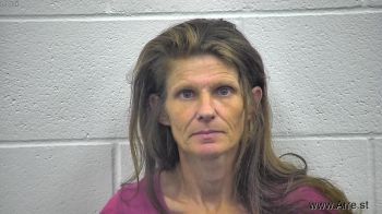 Carrie Lynn Ball Mugshot