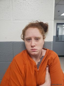 Carrie Louise Hayse Mugshot