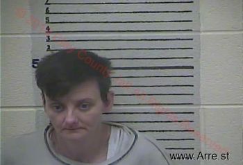 Casey Lynn Renner Mugshot