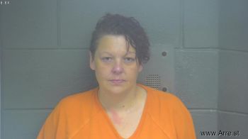 Chanise Nicole Wildes Mugshot