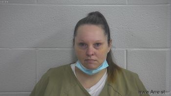 Chasity Michele Anderson Mugshot