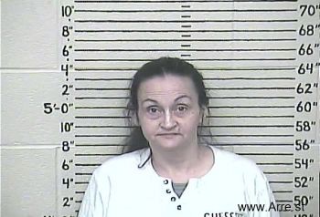 Chasity D Williams Mugshot