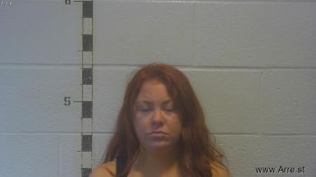 Chelsea Ann Marie Willis Mugshot