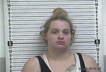 Chelsey L Geiger Mugshot