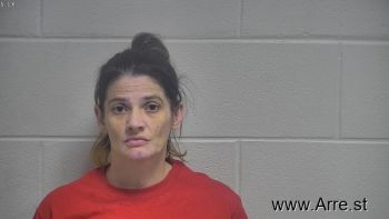 Christal Lynn Johnson Mugshot