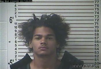 Christian Tray Hammock Mugshot