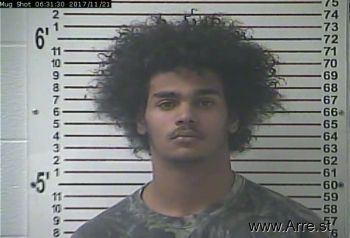 Christian Tray Hammock Mugshot