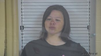 Christina  Anderson Mugshot