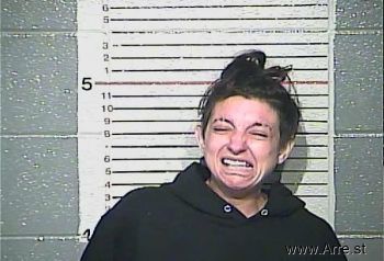 Christina M Brooks Mugshot