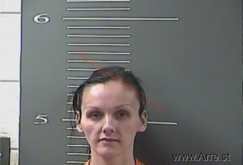 Christina  Collins Mugshot