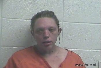 Christina M Halsey Mugshot