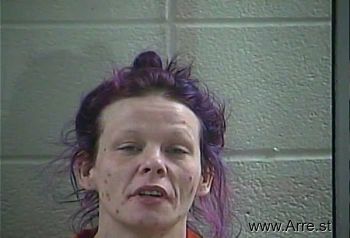 Christina Marie Mcintyre Mugshot