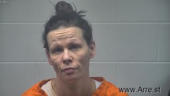 Christina  Mcintyre Mugshot