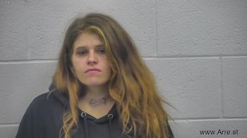 Christina Megan Villarreal Mugshot