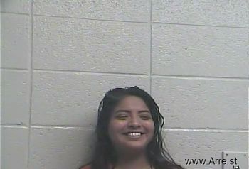 Christine  Ramirez Mugshot