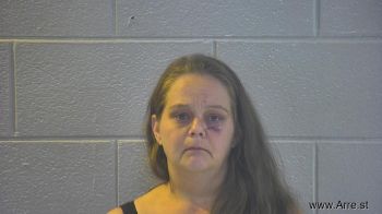 Christine Megan Smith Mugshot