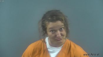 Christopher Shane Lynn Sullivan Mugshot