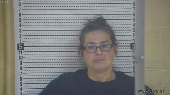 Cindy Leann King Mugshot