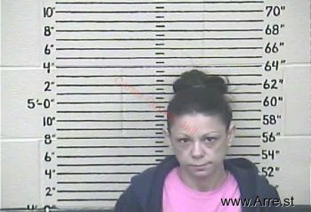 Cindy K Wells Mugshot