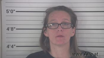 Colleen  Messer Mugshot