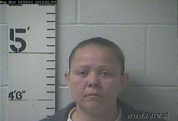 Crystal Carol Blevins Mugshot