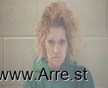 Crystal Ann Chapman Mugshot