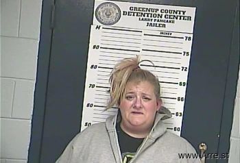 Crystal Dawn Elliott Mugshot