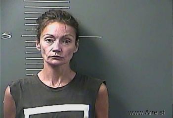 Crystal Ann Mitchell Mugshot