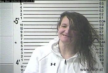 Crystal Renee Nolan Mugshot