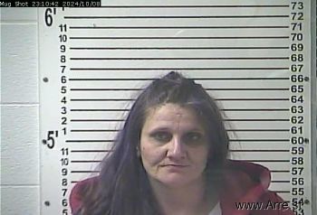 Crystal Gayle Wilson Mugshot