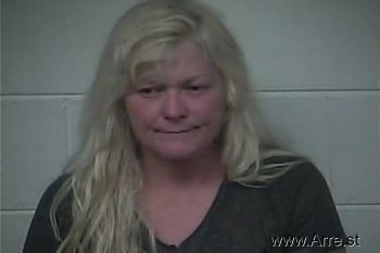 Cynthia  Drake Mugshot