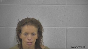 Cynthia Elane Elliott Mugshot