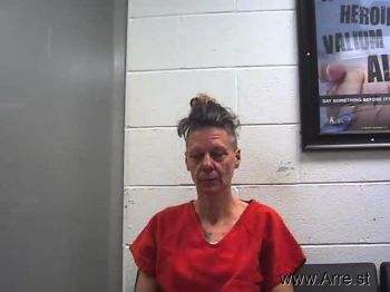 Cynthia Marie Farmer Mugshot