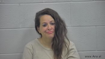 Cynthia Sue Langley Mugshot