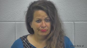 Cynthia Sue Langley Mugshot