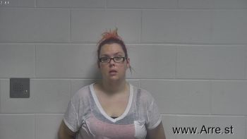 Cynthia Michele Lee Mugshot