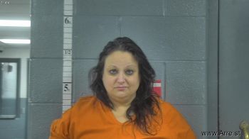 Cynthia Rose Ritter Mugshot